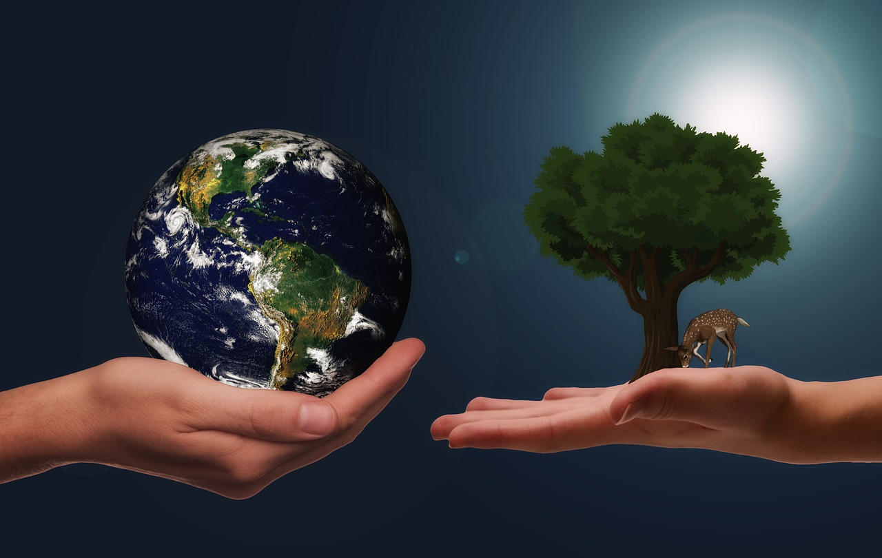 10 Beneficios del Reciclaje para el Medio Ambiente y la Sociedad